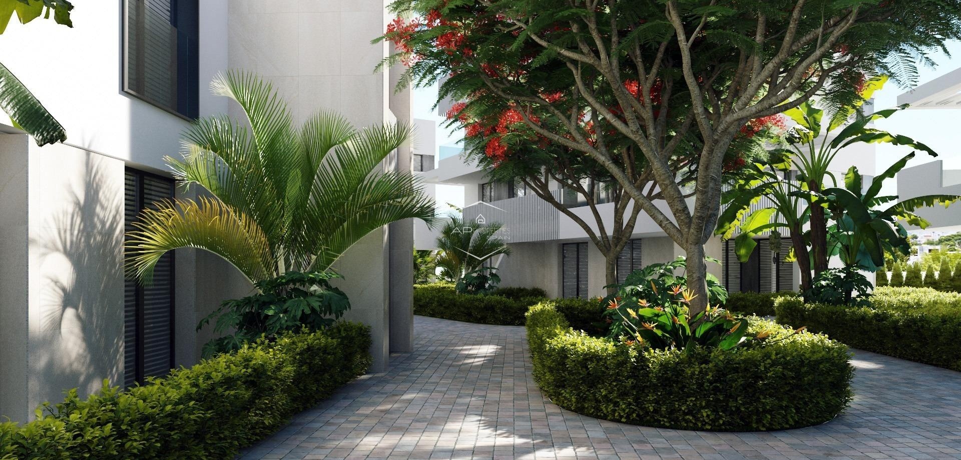 New Build - Apartment - flat -
Torre Pacheco - Santa Rosalia