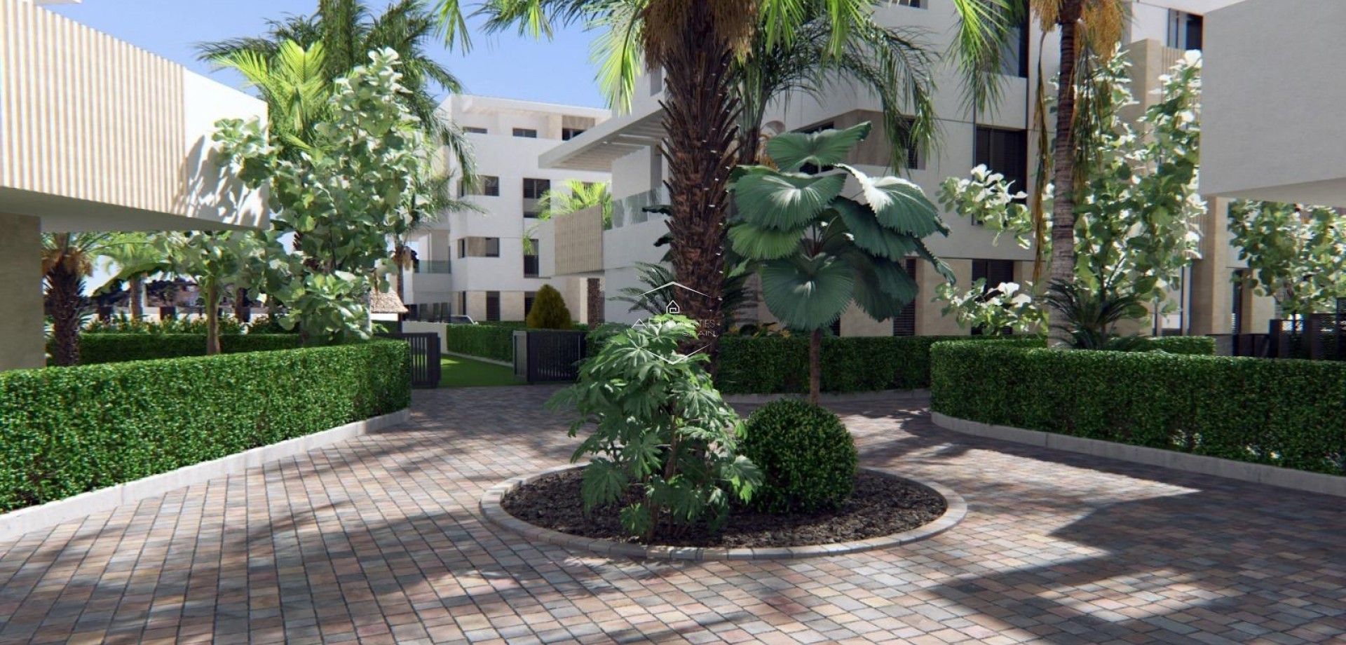 New Build - Apartment - flat -
Torre Pacheco - Santa Rosalia