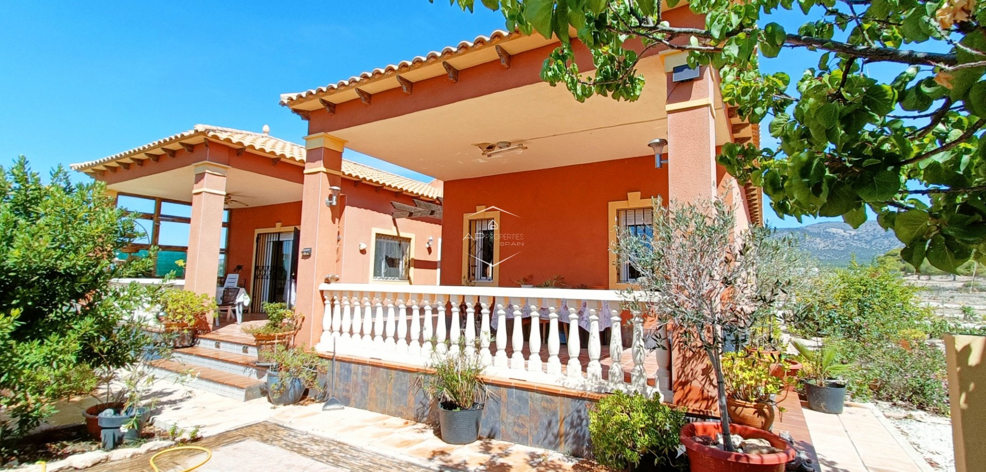 Resale - Villa / Detached -
Pinoso