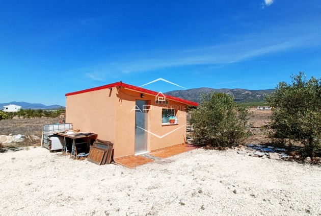 Resale - Villa / Detached -
Pinoso