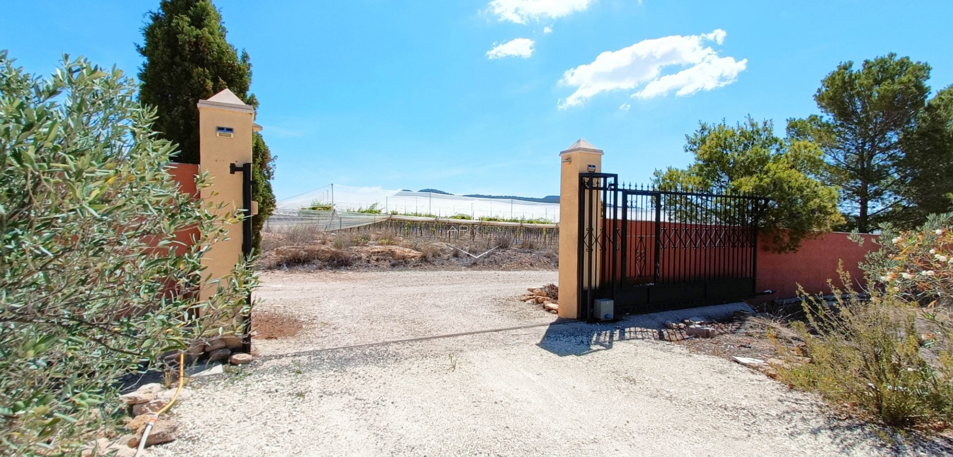 Resale - Villa / Detached -
Pinoso