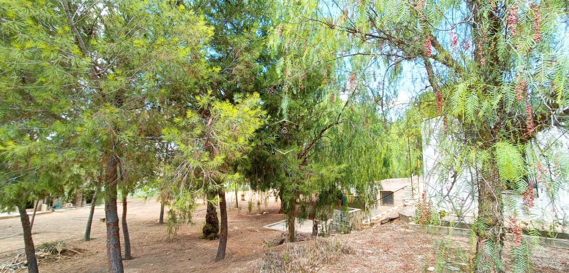 Resale - Villa / Detached -
Hondón de las Nieves