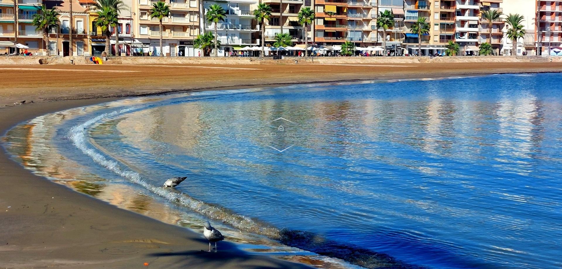 Nowy budynek - Bungalow -
Fuente Álamo - La Pinilla