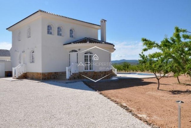 New Build - Villa / Detached -
Pinoso - Campo