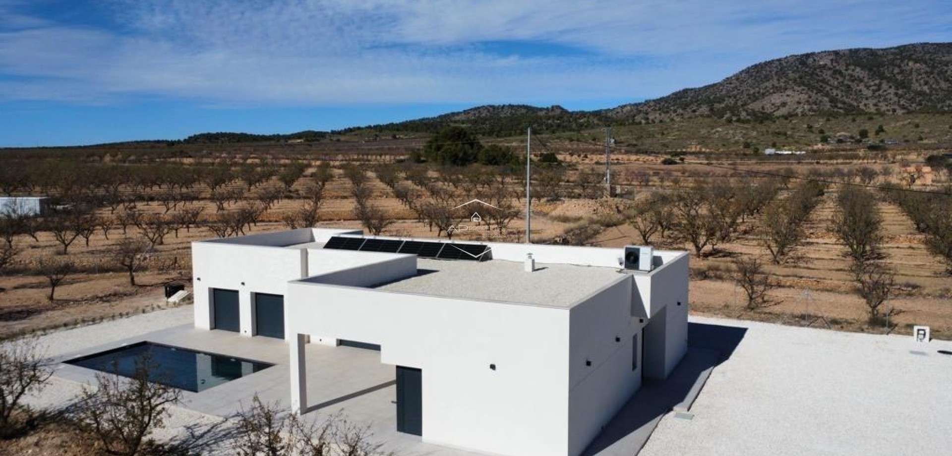 New Build - Villa / Detached -
Pinoso - Campo