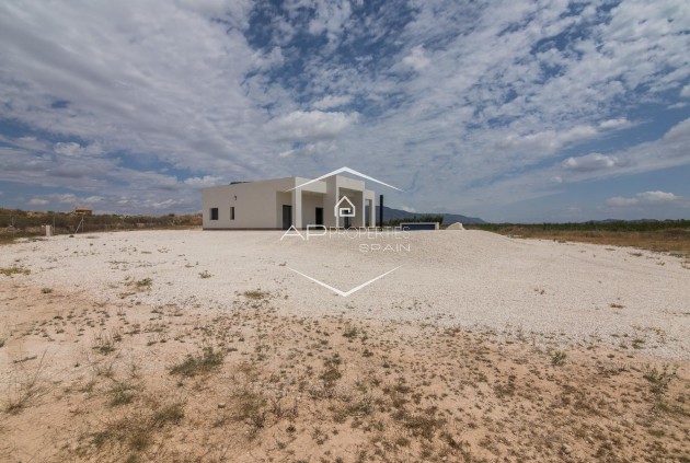 Nueva construcción  - Villa / Independiente -
Pinoso - Campo