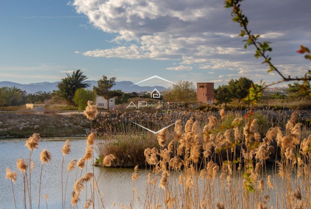 Nowy budynek - Bungalow -
Guardamar del Segura - Guardamar pueblo