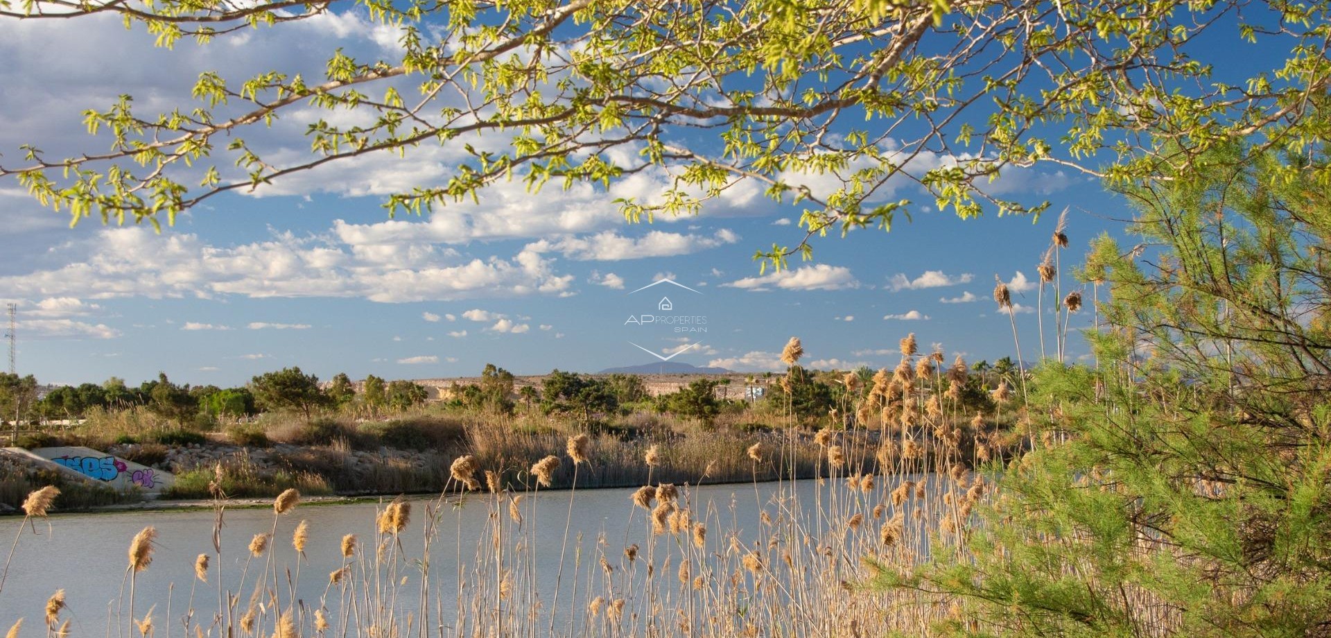 Nowy budynek - Bungalow -
Guardamar del Segura - Guardamar pueblo