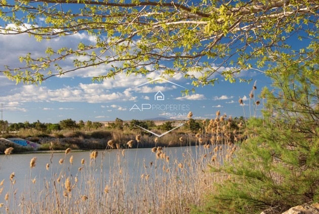 Nowy budynek - Bungalow -
Guardamar del Segura - Guardamar pueblo