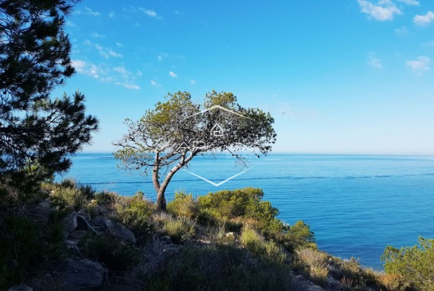 Nowy budynek - Mieszkanie w bloku -
Villajoyosa - Playas Del Torres