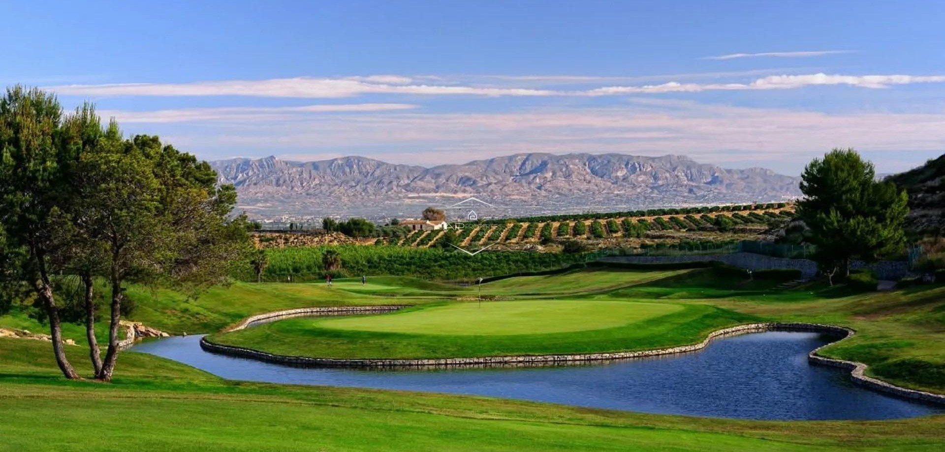 Nouvelle construction - Maison de ville -
Algorfa - La Finca