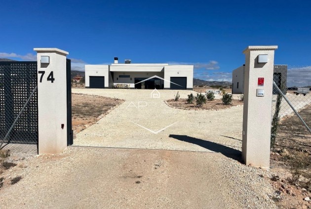 Nueva construcción  - Villa / Independiente -
Pinoso - Camino Del Prado