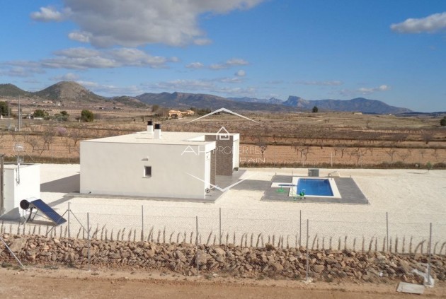 New Build - Villa / Detached -
Pinoso - Camino Del Prado