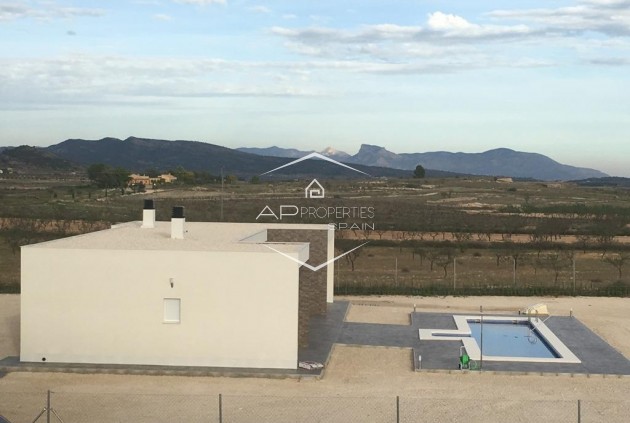 New Build - Villa / Detached -
Pinoso - Camino Del Prado