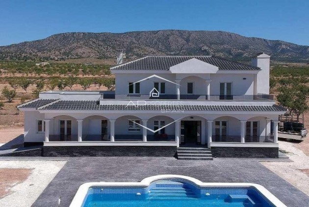 New Build - Villa / Detached -
Pinoso - Camino Del Prado