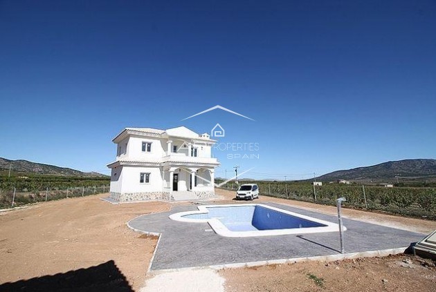 New Build - Villa / Detached -
Pinoso - Camino Del Prado