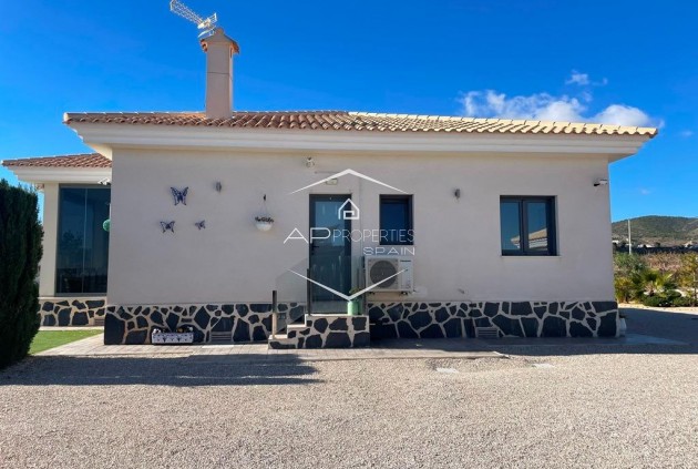 New Build - Villa / Detached -
Pinoso - Camino Del Prado