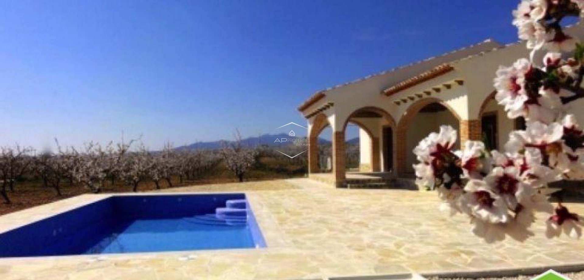 New Build - Villa / Detached -
Pinoso - Centro