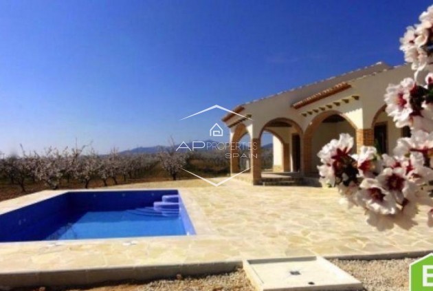 New Build - Villa / Detached -
Pinoso - Centro