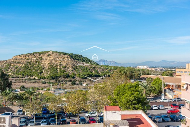 Nueva construcción  - Apartamento / piso -
Guardamar del Segura - Centro