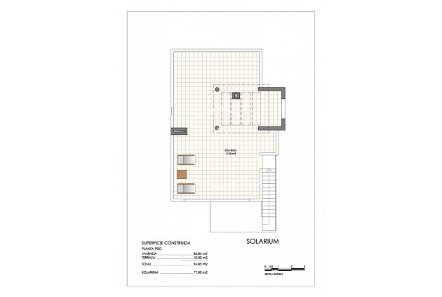 Nouvelle construction - Bungalow -
San Miguel de Salinas - Urbanizaciones