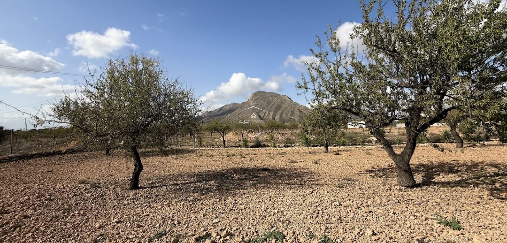 Revente - Villa / Indépendante -
Barbarroja