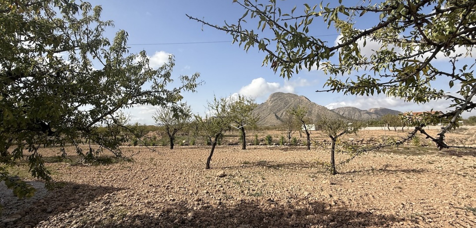 Revente - Villa / Indépendante -
Barbarroja