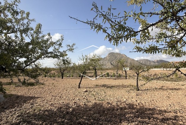 Revente - Villa / Indépendante -
Barbarroja