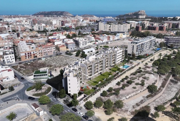 Nouvelle construction - Apartment - Penthouse -
Alicante - Pau Ii