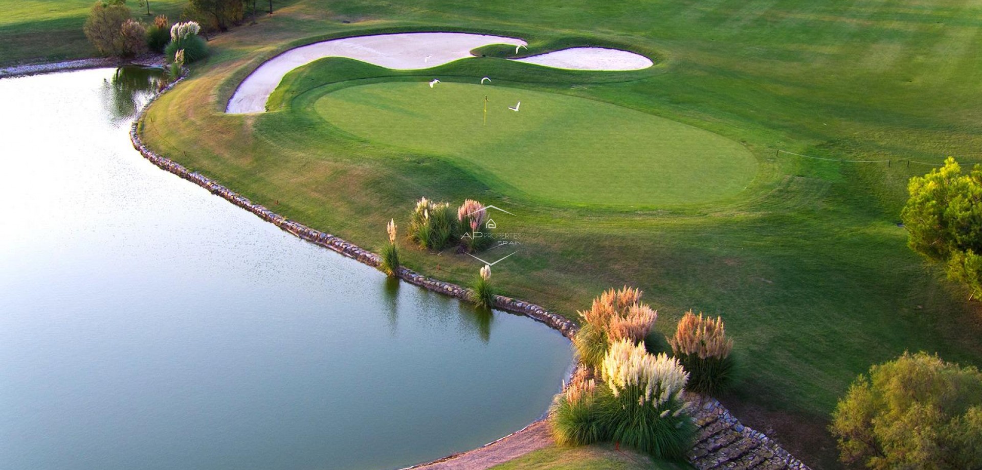 New Build - Villa - Detached -
Pilar de la Horadada - Lo Romero Golf