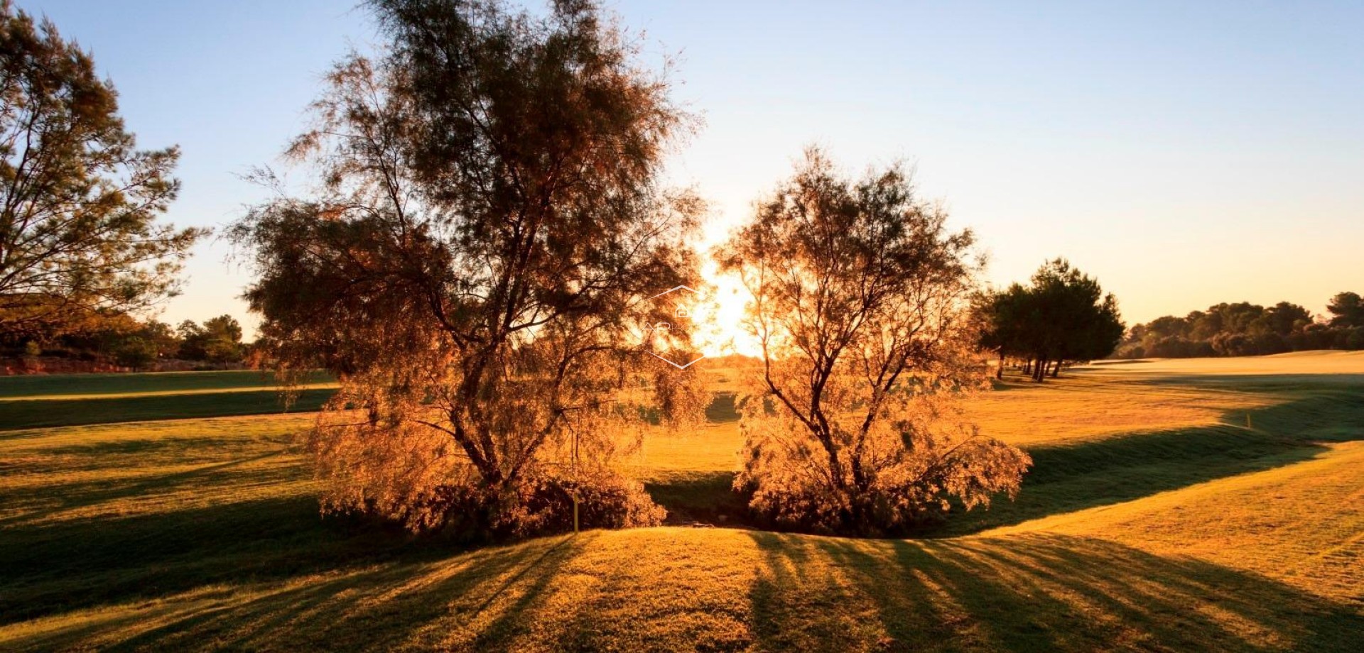 New Build - Villa - Detached -
Pilar de la Horadada - Lo Romero Golf