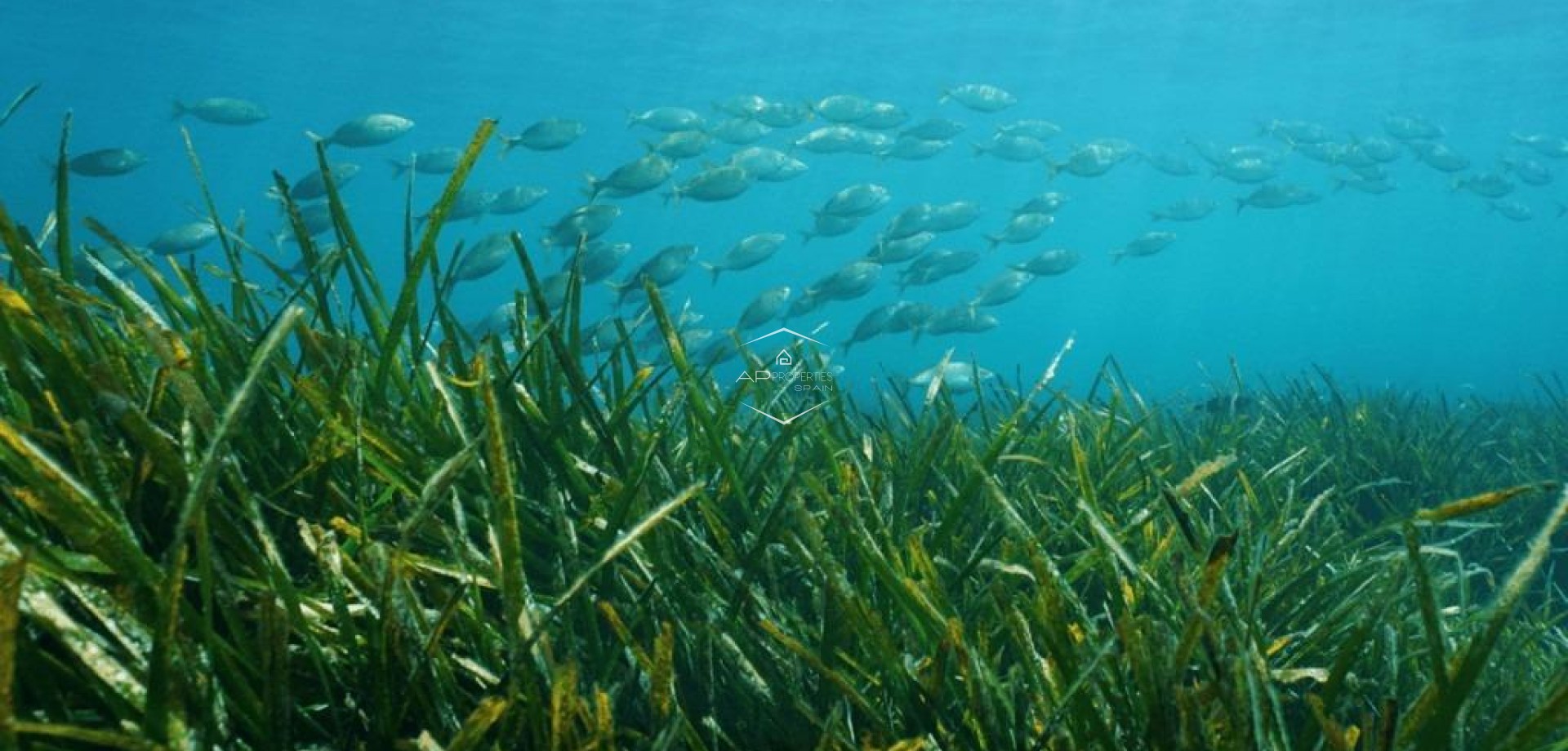 Nueva construcción  - Villa - Independiente -
Benissa - Racó Del Galeno