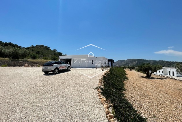 New Build - Villa - Detached -
Macisvenda