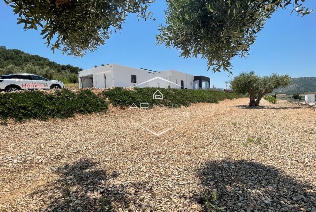 New Build - Villa - Detached -
Macisvenda