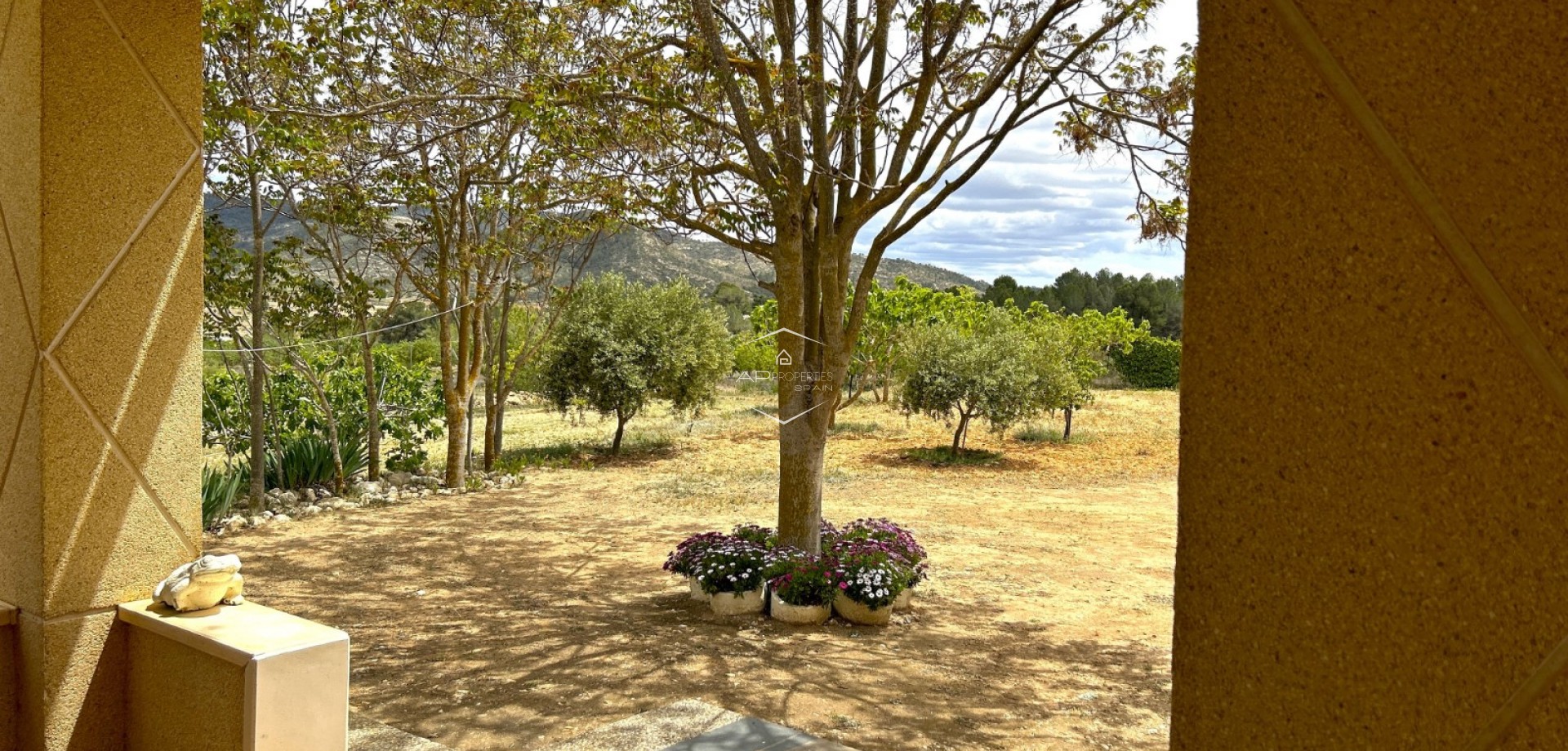 Reventa - Villa - Independiente -
Monovar