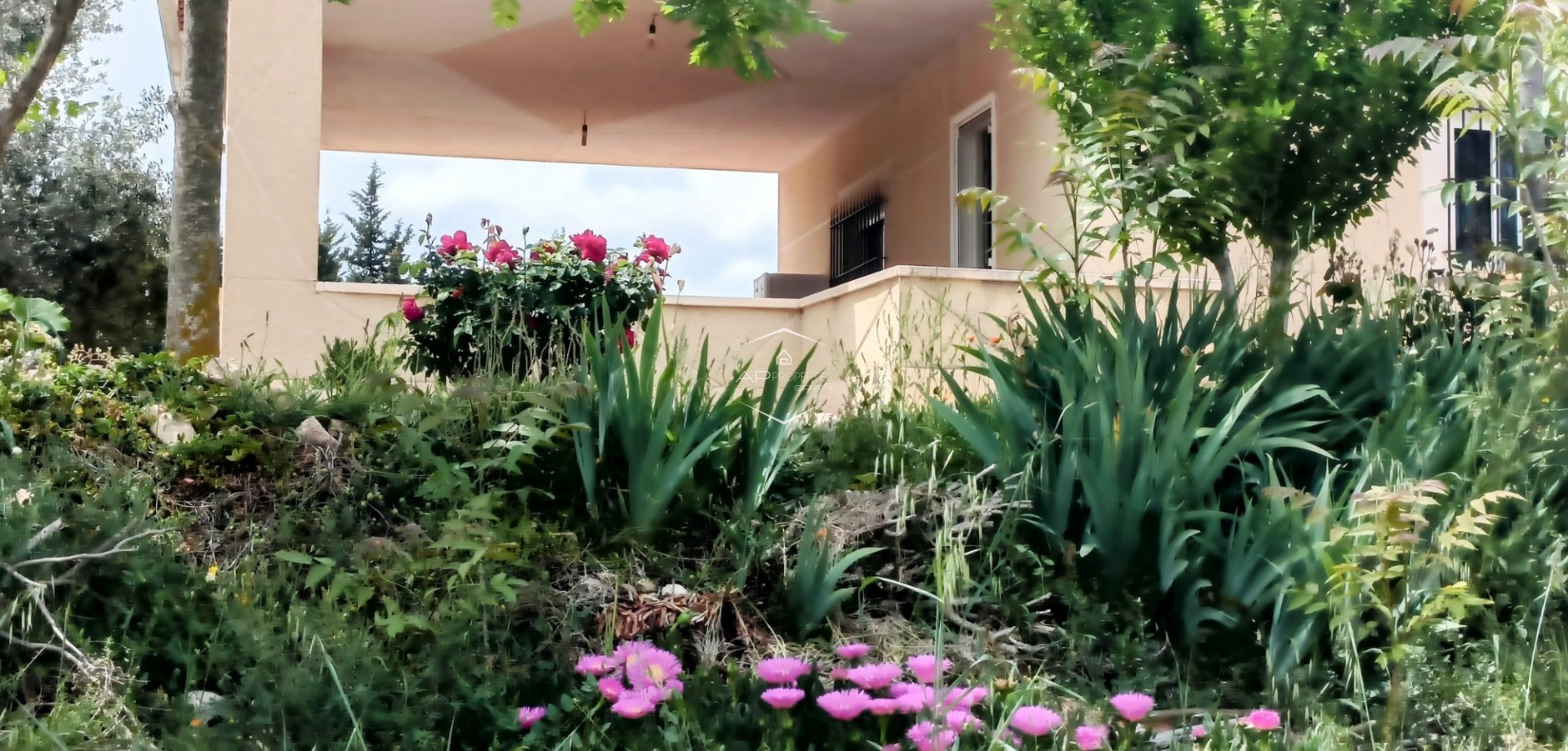 Reventa - Villa - Independiente -
Monovar