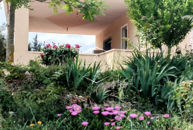 Reventa - Villa - Independiente -
Monovar