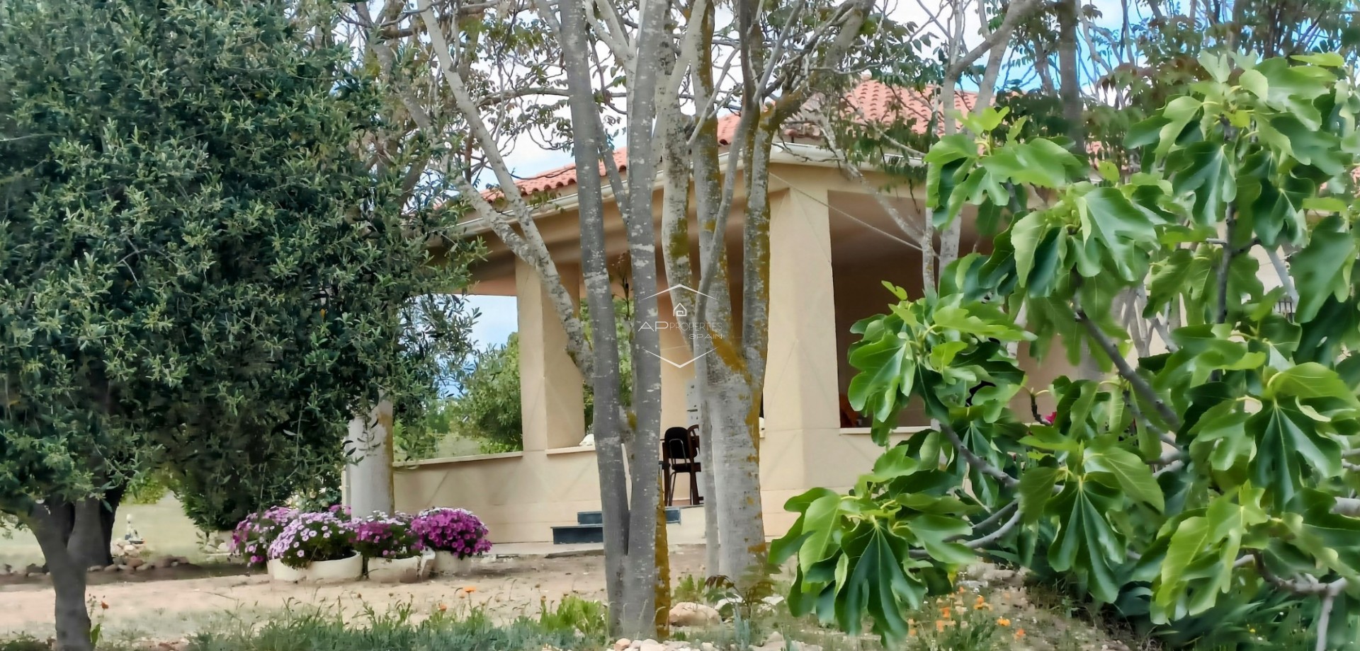 Reventa - Villa - Independiente -
Monovar