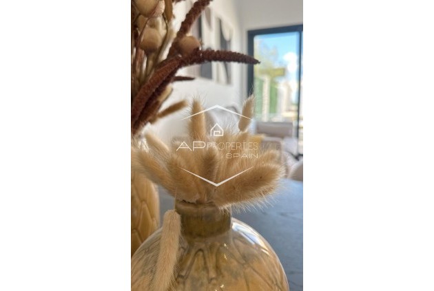 New Build - Bungalow -
San Fulgencio - Pueblo