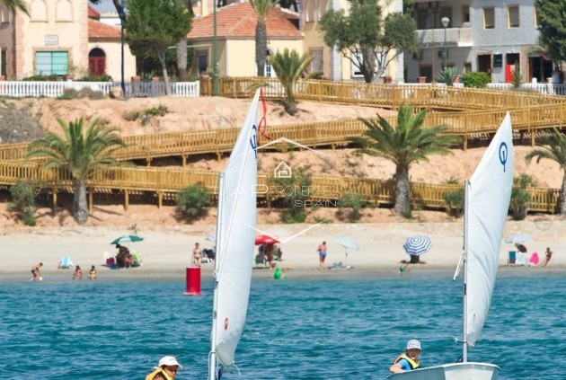 Nueva construcción  - Bungalow -
Pilar de la Horadada - Parque Ramon eugenio Escudero