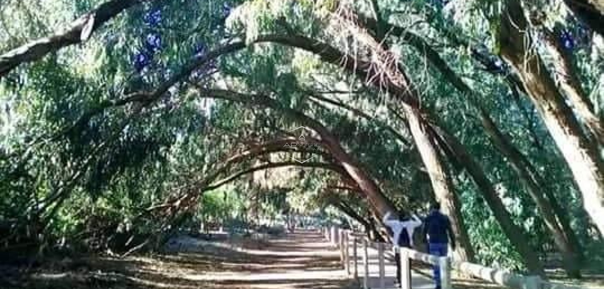 Nowy budynek - Bungalow -
Torrevieja - Altos del Sol