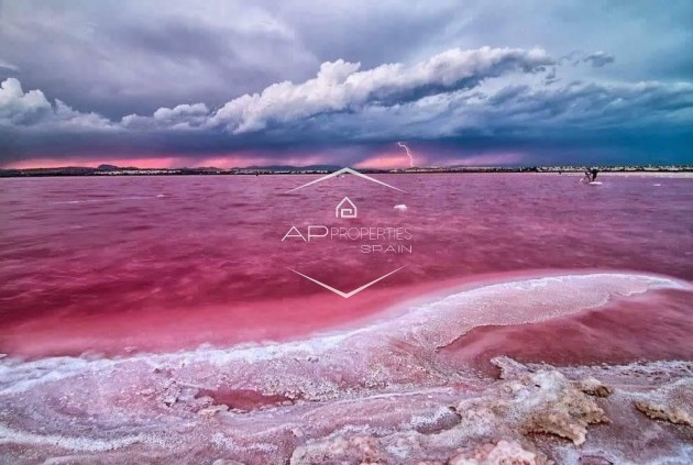 Nueva construcción  - Bungalow -
Torrevieja - Altos del Sol