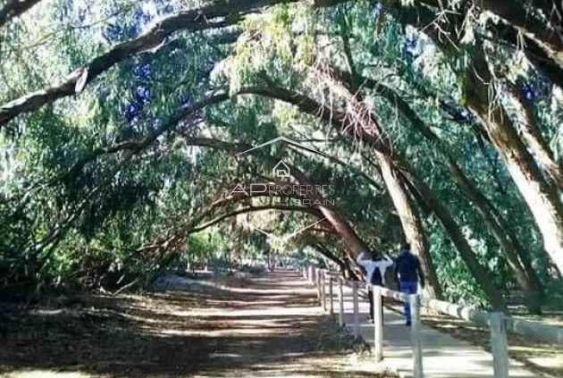 New Build - Bungalow -
Torrevieja - Altos del Sol