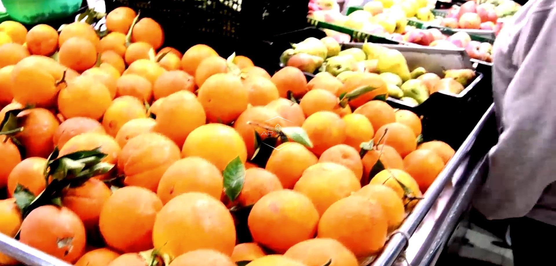 New Build - Apartment - flat -
Torrevieja - Centro