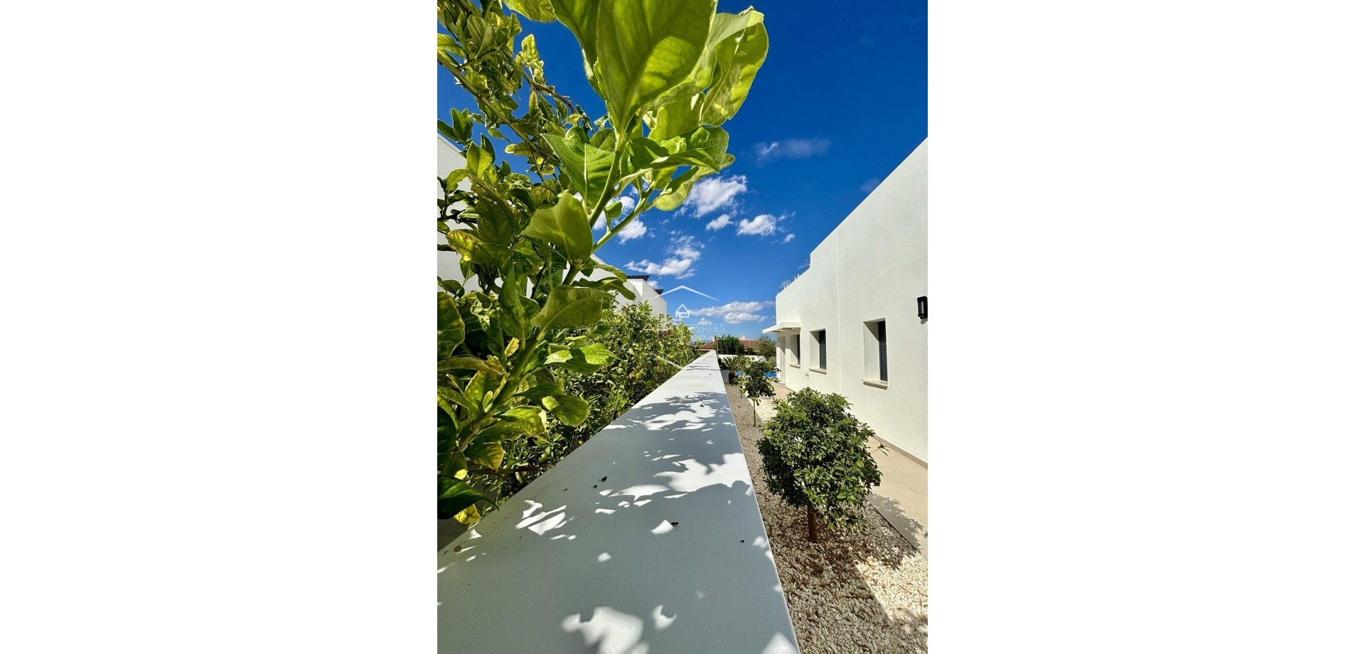 New Build - Villa - Detached -
Benijofar - Pueblo