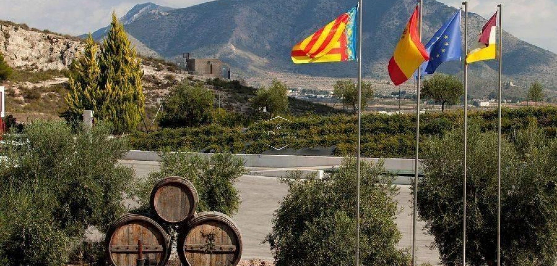 Nueva construcción  - Villa - Independiente -
Pinoso - Lel