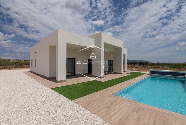 New Build - Villa - Detached -
Pinoso - Lel