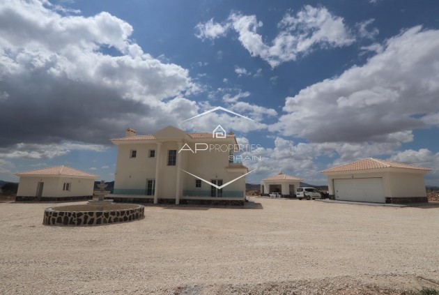 Nouvelle construction - Villa - Indépendante -
Pinoso - Camino Del Prado