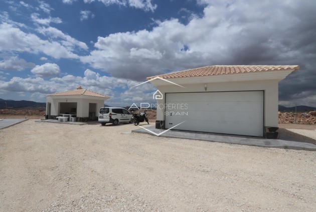 Nouvelle construction - Villa - Indépendante -
Pinoso - Camino Del Prado