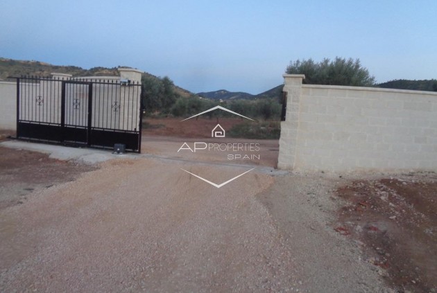 Nouvelle construction - Villa - Indépendante -
Pinoso - Camino Del Prado